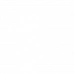 WhatsApp Image 2026-02-12 at 11.51.33 (4)